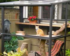 Keep Your Cat Safe With It’s Own ‘Catio’ DIYPets