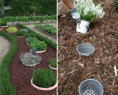 Build You Dream-Garden With These Easy Tips