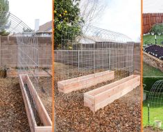Building A Trellis Tunnel And Raised Garden Bed Combination