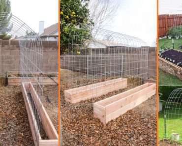 Building A Trellis Tunnel And Raised Garden Bed Combination