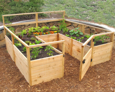 Beautiful! 7 Raised Garden Bed Kits