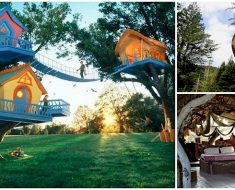 12 Awesome Tree Houses To Make Your Inner Child Go Nuts