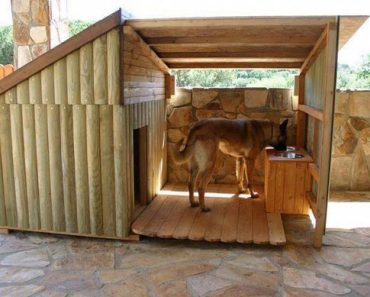 85 Free Dog House Plans