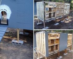 DIY Chicken Coop Made From Pallets