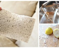Germaphobes Rejoice! 16 Cleaning Tips That Will Make Your Home Sparkle