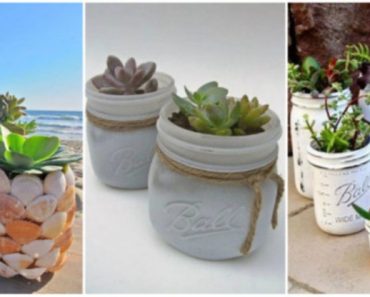 20+ DIY Mason Jars Flower Pots