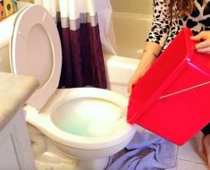 How To Unclog The Toilet Without A Plunger