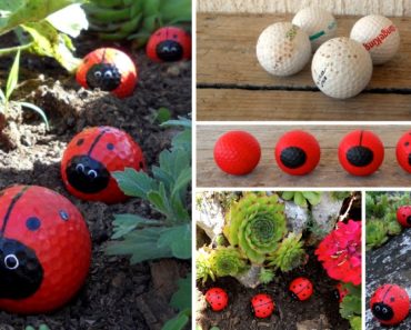 How To Make Golf Ball Ladybugs