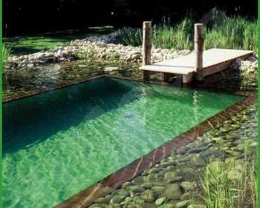 Natural Swimming Pools