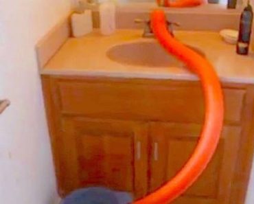 13 Creative Ways To Use A Pool Noodle